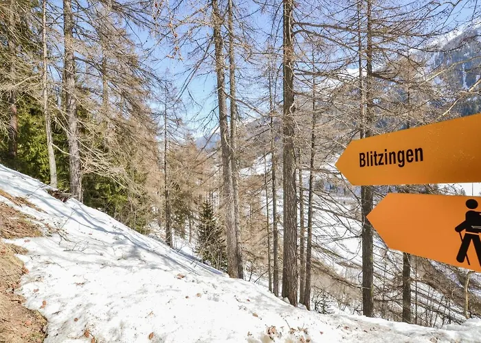 Alpstuga La Neuf Goms